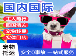 图木舒克唐王城机场快运国际宠物托运 【国
